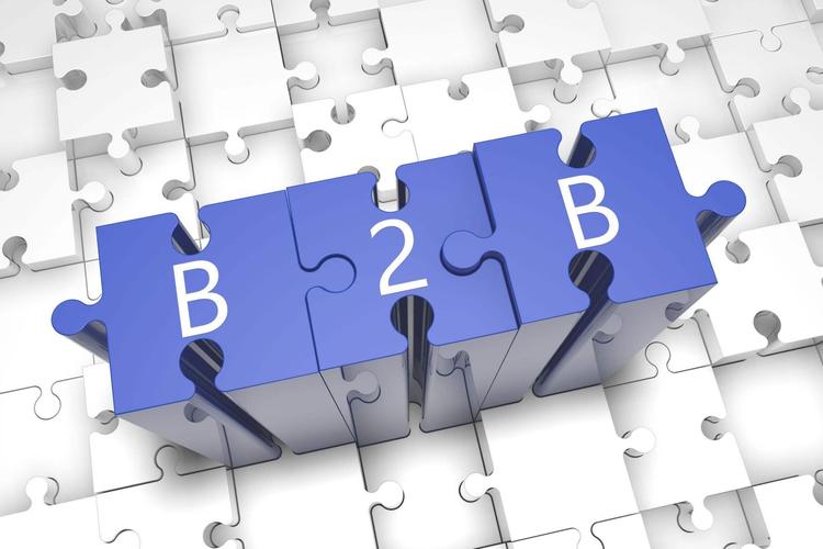 b2b - 随商电商平台系统